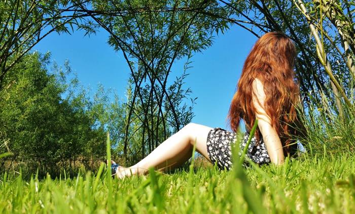 Relax or play in the living willow garden